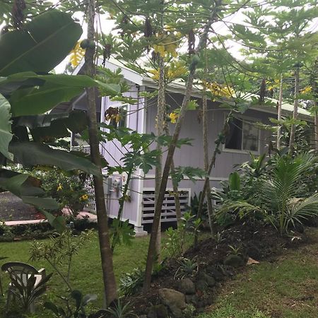 The Dolphin Cottage At Kehena Beach Bagian luar foto