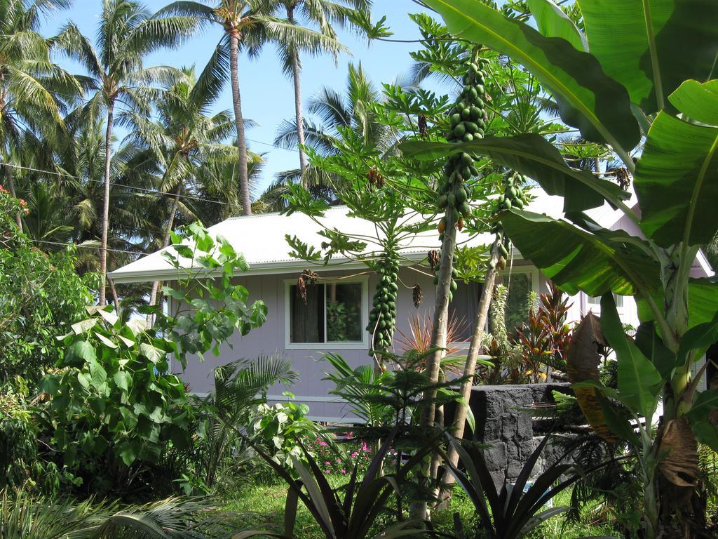 The Dolphin Cottage At Kehena Beach Bagian luar foto
