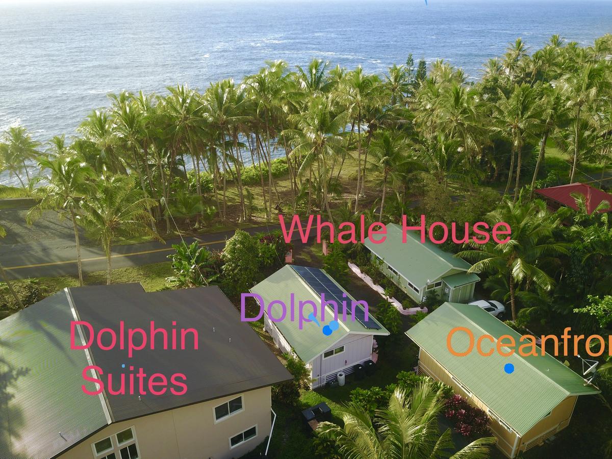 The Dolphin Cottage At Kehena Beach Bagian luar foto
