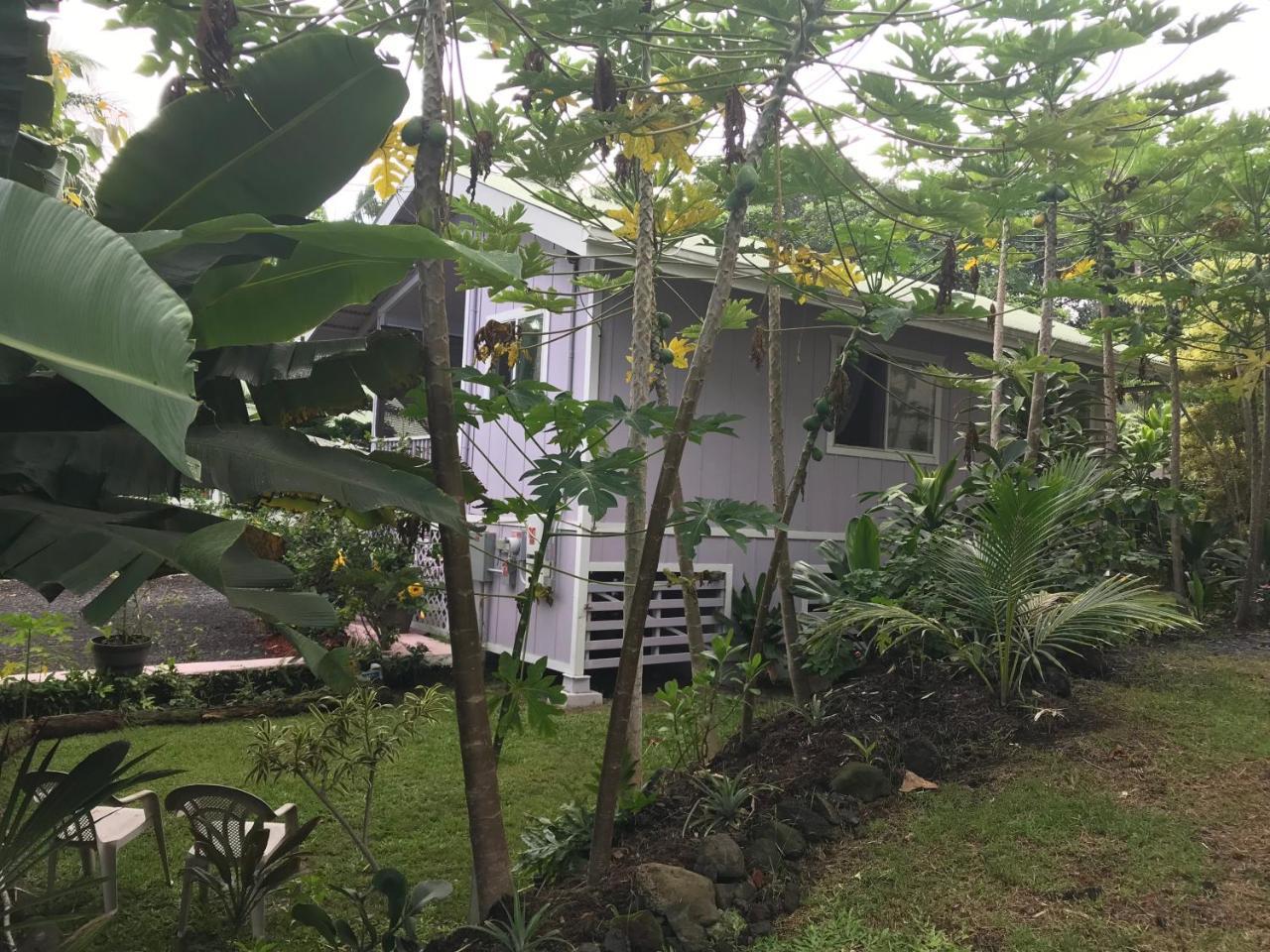 The Dolphin Cottage At Kehena Beach Bagian luar foto