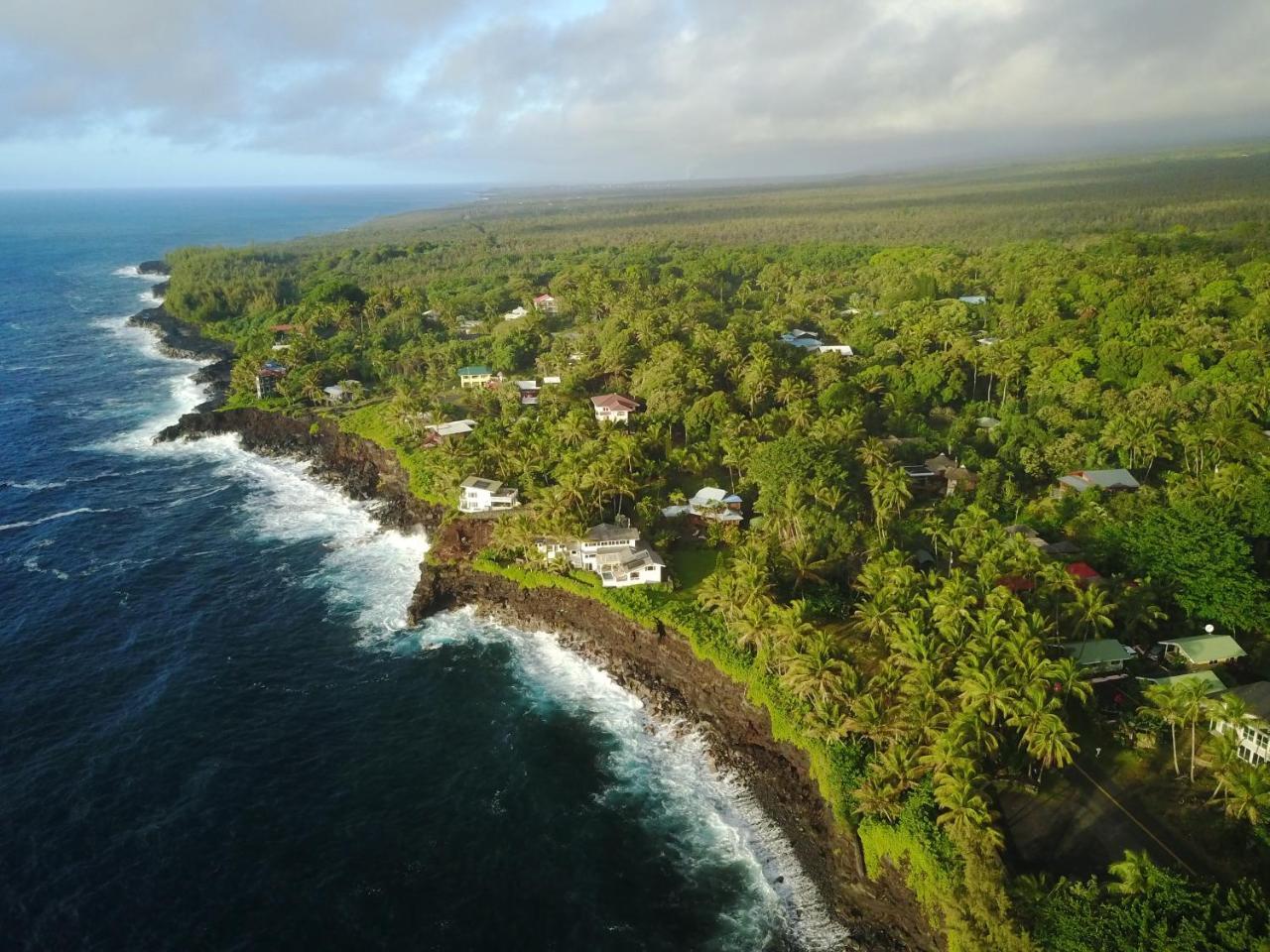The Dolphin Cottage At Kehena Beach Bagian luar foto